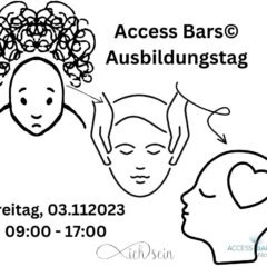 Access Bars